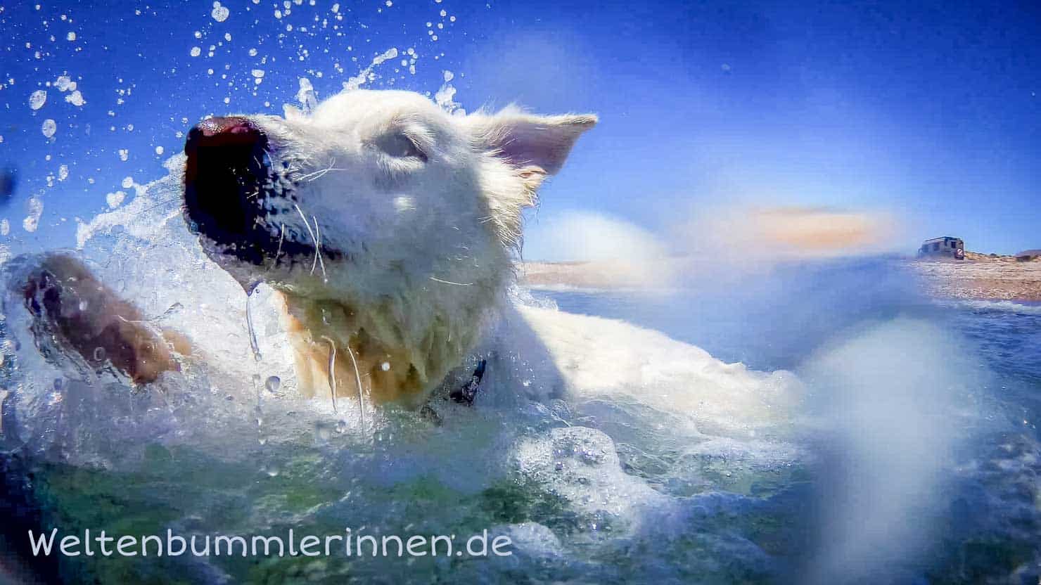 Mazarron und Alicante