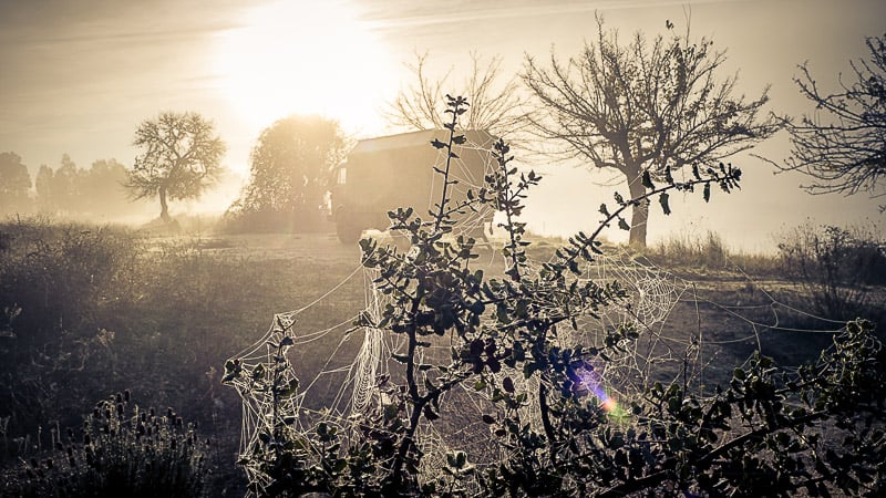 Der Steyr ist fast immer mit der Landschaft verschmolzen und war somit ein perfektes Wohnmobil zum Freistehen.