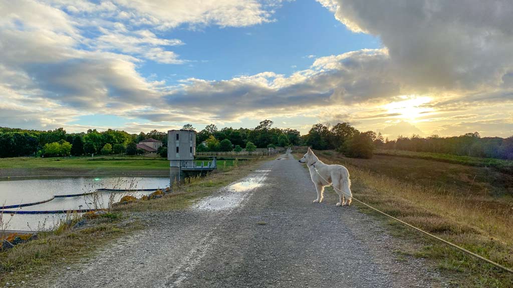 Stausee La Charente, Luna