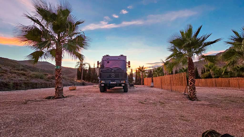 Black Pearl unter Palmen