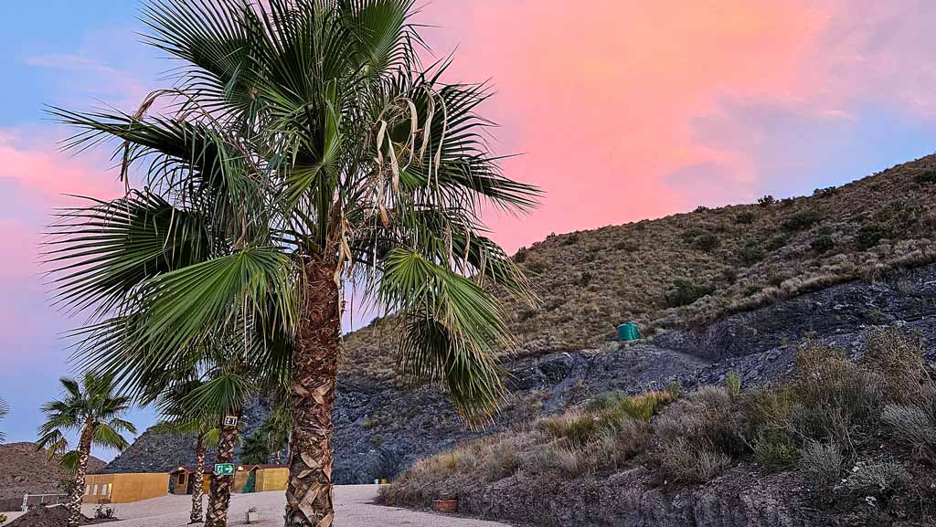 Wer steht schon gerne unter Palmen?